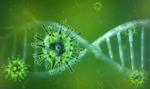 coronavirus-origen-evolucion-por-que-no-es-igual-sars-mers-1429