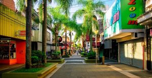 peatonal 1