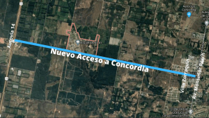 Camino Magnasco