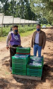 Villanueva en campo