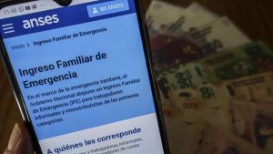 la-titular-anses-