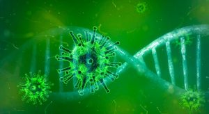 coronavirus