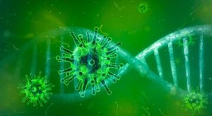 coronavirus