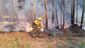 incendio-los-charruas-1jpg