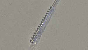 475029