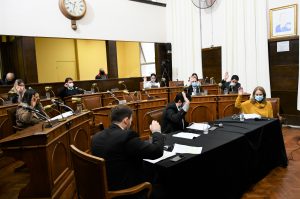 13° Sesión Concejo Deliberante (2)