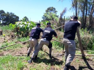 Empedimento usurpación de terrenos (3)