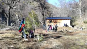 mapuche