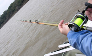 concordia-pesca-dorados-2