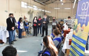 taller textil