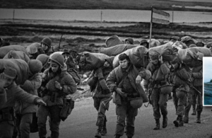 malvinas