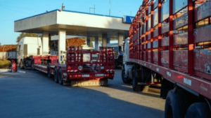 camiones-gasoil estacion servicio