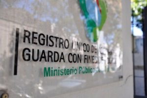 registro unico de adoptantes adopcion