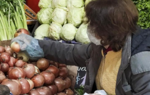 verduras