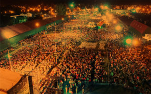 fiesta de la citricultura