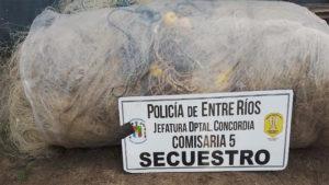 policia