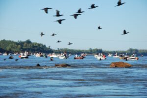 Fiesta-pesca-nacional-de-la-boga-diauno-ar