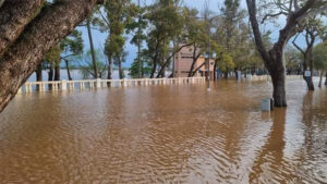 inundacion costanera concordia