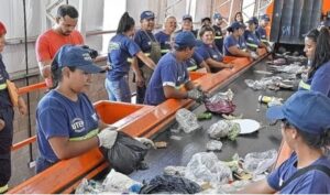 trabajadores campo abasto reciclaje