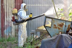 Fumiga dengue