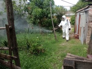 fumigacion dengue