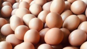 huevos