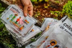 semillas pro huerta