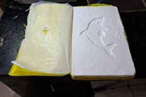 cocaina droga policiales delfin