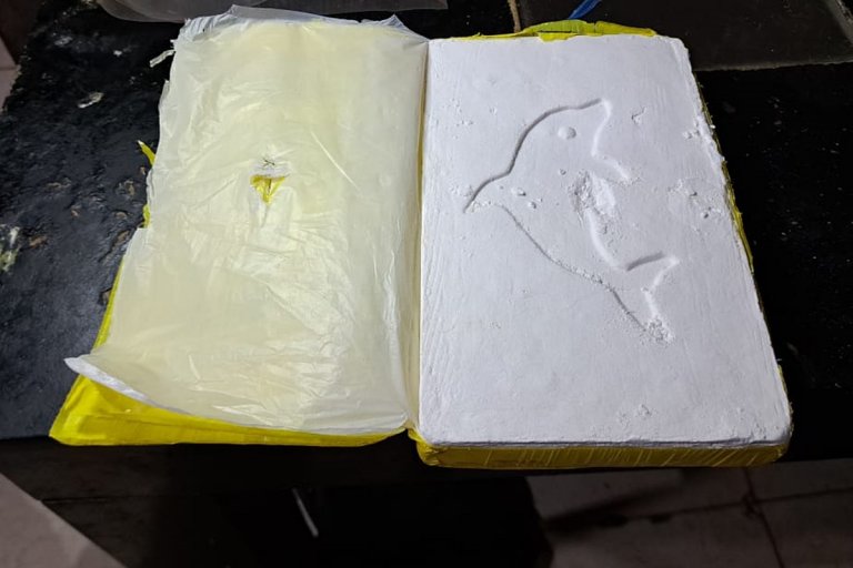 cocaina droga policiales delfin