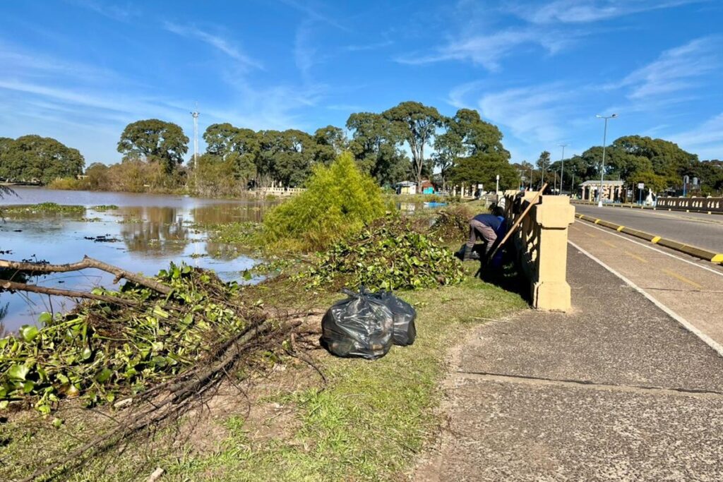 limpieza costanera