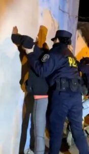 policiales