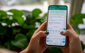 chat bot elecciones