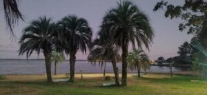 camping las palmeras playa