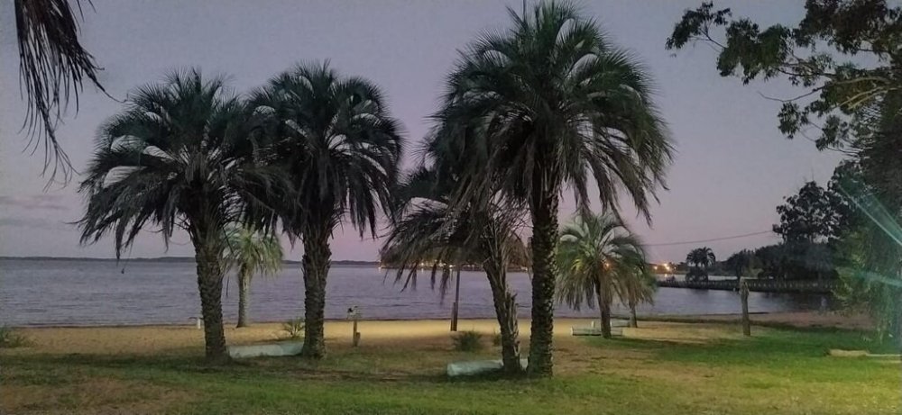 camping las palmeras playa