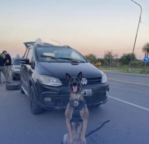 SECUESTRO DE DROGAS..