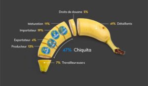 Gráfico de Fabian Lang de Public Eye indicando los porcentajes de ganancia en la producción bananera. Los trabajdores solo el 7